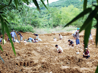 Săn đá trắng và những cuộc hỗn chiến