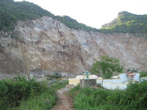 Bụi mỏ đá trắng xóa nghĩa trang