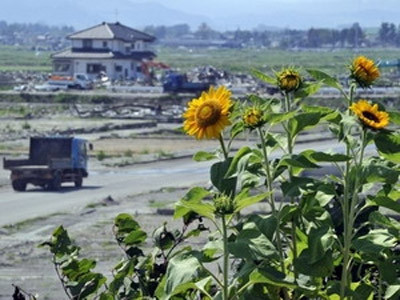 Đông bắc Nhật Bản lại rung chuyển bởi động đất