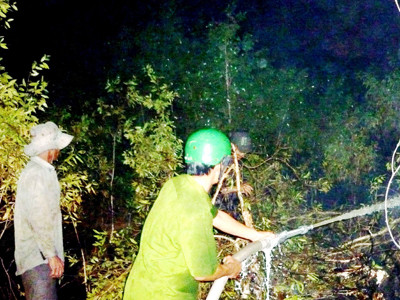 Cháy lớn rừng tràm Trại giam K3- Cái Tàu