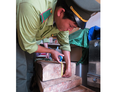 Vụ 3 cây sưa nghìn tỷ: Hé lộ lãnh đạo kiểm lâm lấy gỗ của lâm tặc