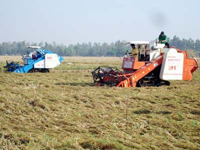 Sớm sửa đổi pháp luật về đất đai