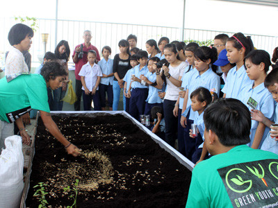 Làm vườn trên... mái nhà
