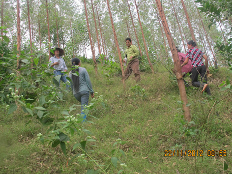 Dân thiếu đất sản xuất vì nông lâm trường