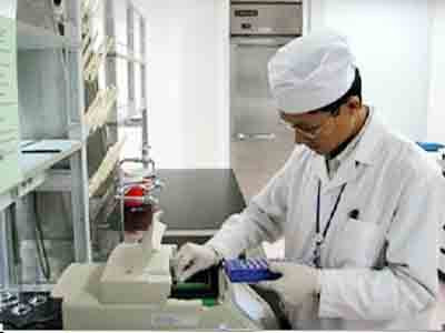 Nghiên cứu tác dụng của Cốt Thoái Vương