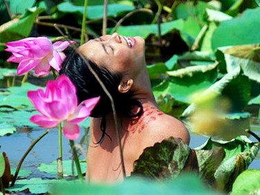 Sốt 'Cánh đồng bất tận', vì sao?