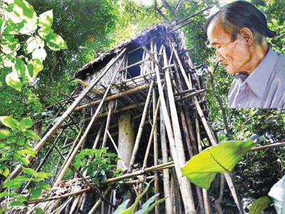 Theo vết 'người rừng'