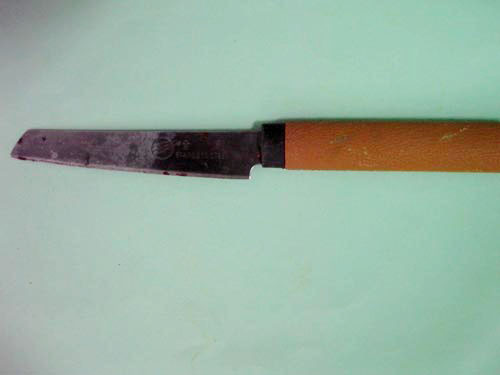 Ảnh chỉ mang tính minh họa