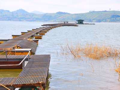 Hồi sinh nhiều loài cá quý sắp tuyệt chủng