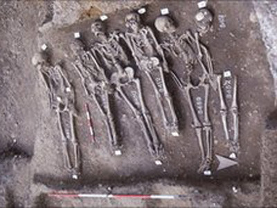 Giải mã gene vi khuẩn gây ra Cái chết Đen