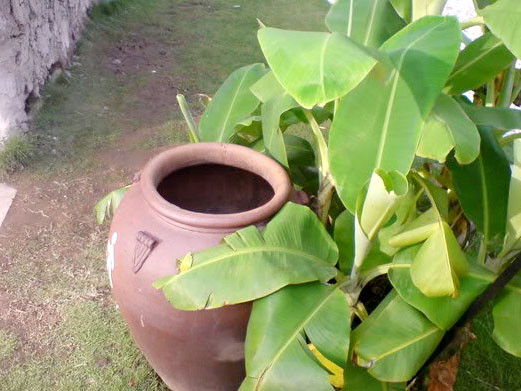 Mẹ bỏ con ba tháng tuổi vào lu nước rồi tự tử