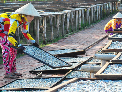 Khô cá đón Tết