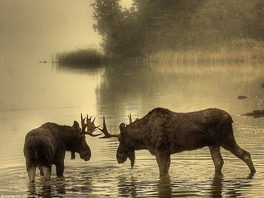 Ảnh thiên nhiên cực đẹp ở Mỹ