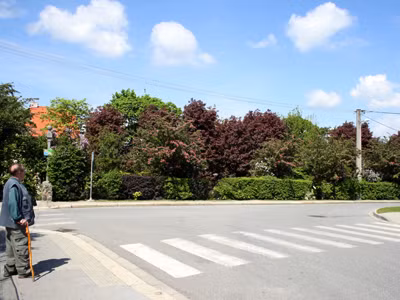 Sang đường và những điều cần biết