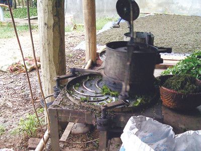 Rùng mình chè bẩn