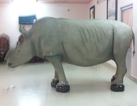 Ông Trầm Bê có hai con tê giác?