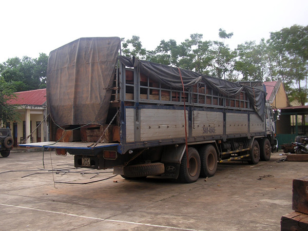 Bắt vụ vận chuyển 30 m3 gỗ lậu