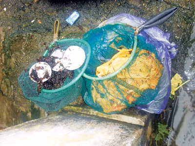 Đánh cược mạng sống với nghề 'ăn mứt'