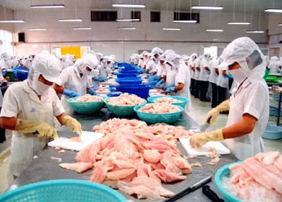 Lúng túng thu mua, xuất khẩu nông sản