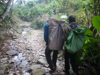 Gỗ sưa đã về các xã vùng đệm