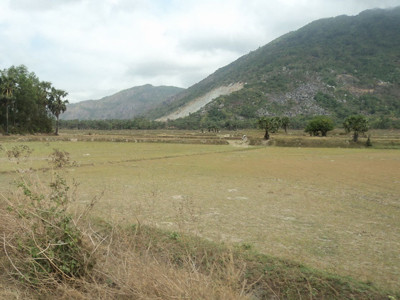 Tại huyện Tri Tôn (An Giang), đồng khô cỏ cháy Ảnh: TRẦN NGHĨA