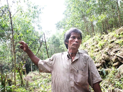 Dằng dặc Trường Lũy