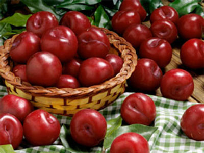 'Viaga' từ quả mận