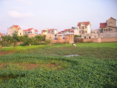 Luật Đất đai (sửa đổi) sẽ được đưa ra lấy ý kiến nhân dân vào đầu năm 2013. Ảnh: N.T