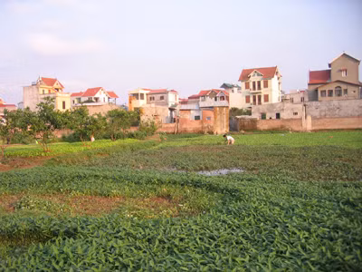 Luật Đất đai (sửa đổi) sẽ được đưa ra lấy ý kiến nhân dân vào đầu năm 2013. Ảnh: N.T