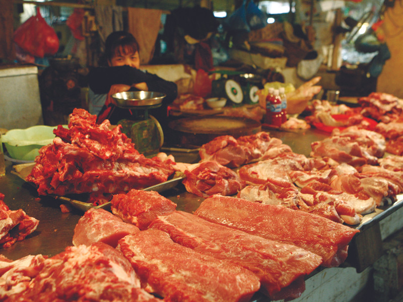 Người nuôi heo điêu đứng