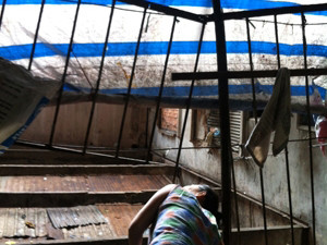 Tệ nạn rình rập chung cư 'răng rụng'