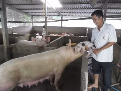 Tay không bắt… thành công