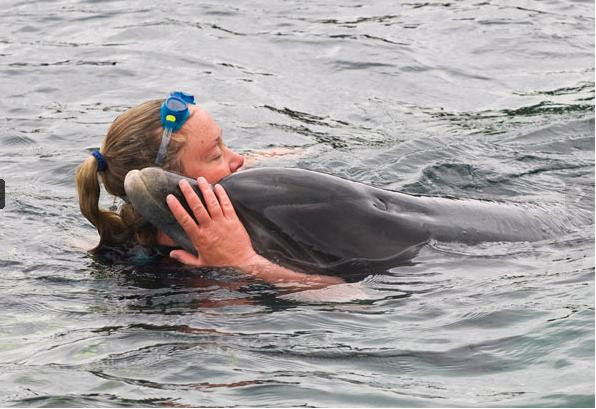 Cá heo thân thiện