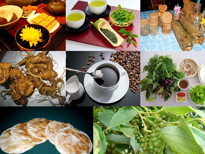Tám loại đặc sản Việt Nam lập kỷ lục châu Á
