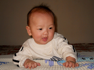 'Hổ con' đáng yêu của chú