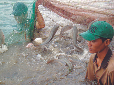 Chờ công văn chống lũ, dân trắng tay