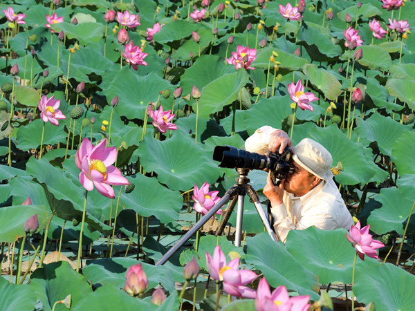 Trần Bíc đang tác nghiệp