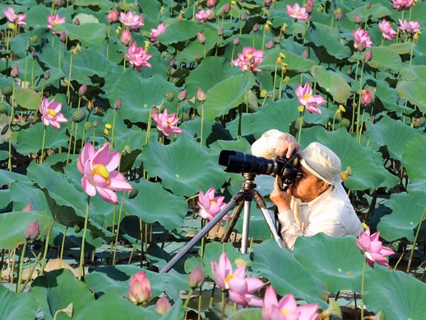 Trần Bíc đang tác nghiệp