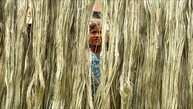 ‘Sợi vàng’ cứu sống người dân Bangladesh