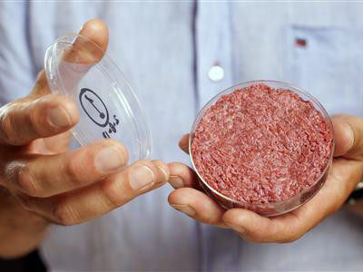 Clip: Thịt bò nhân tạo giá gần 7 tỷ đồng