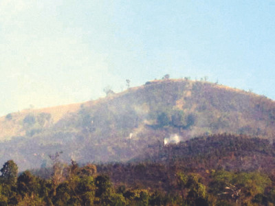 Gia Lai: Cháy rừng phòng hộ Đông Bắc Biển Hồ