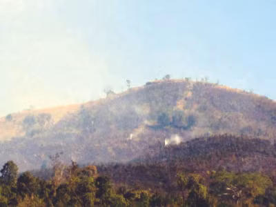 Gia Lai: Cháy rừng phòng hộ Đông Bắc Biển Hồ