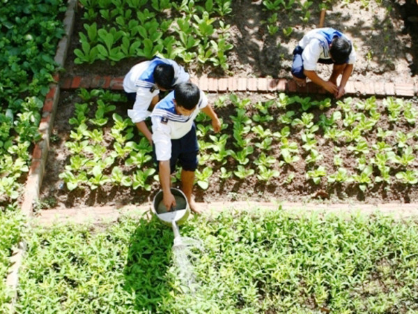 Chiến sĩ Trường Sa chăm sóc rau xanh trên đảo Ảnh: N.H