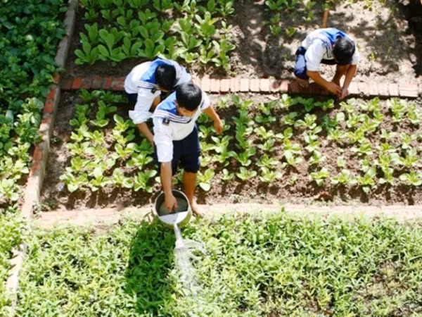 Chiến sĩ Trường Sa chăm sóc rau xanh trên đảo Ảnh: N.H