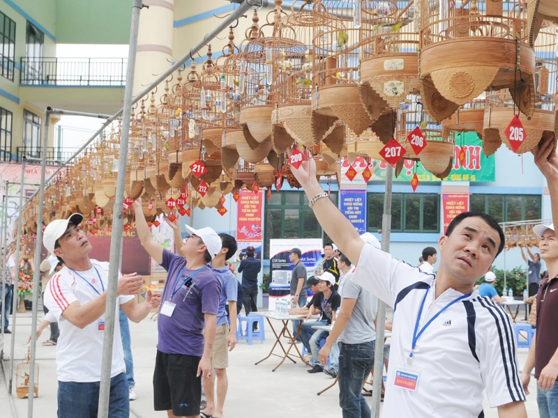 Thi tiếng hót chim Vành Khuyên liên tỉnh lần hai