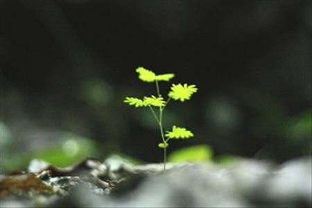 Cư xử đẹp giữa người với người