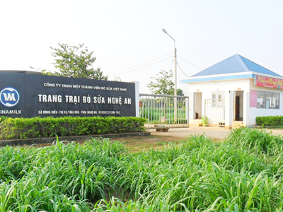 Trang trại Vinamilk đạt chứng nhận Iso 9001:2008
