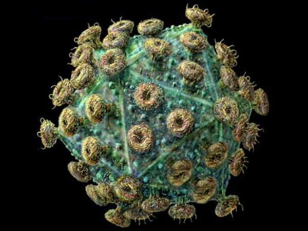 Nga công bố thuốc chữa được AIDS