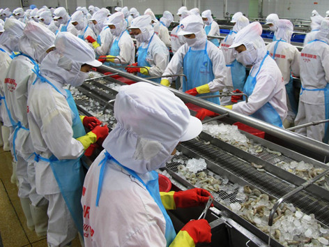 Đói tôm nguyên liệu