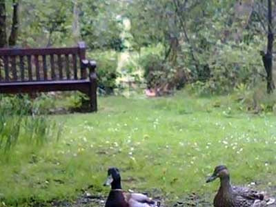 Xuất hiện bóng ma thời Nữ hoàng Victoria